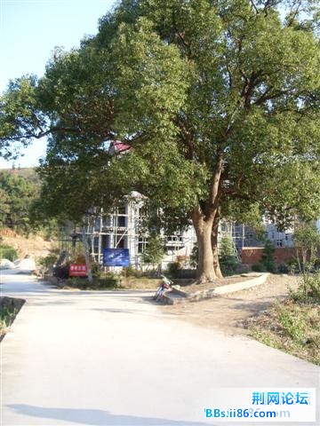 410244N5I-2b.jpg