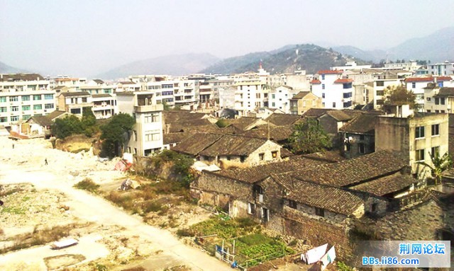 20101125554.jpg