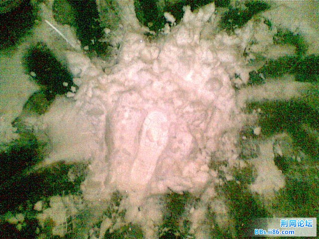 20101216(018).jpg