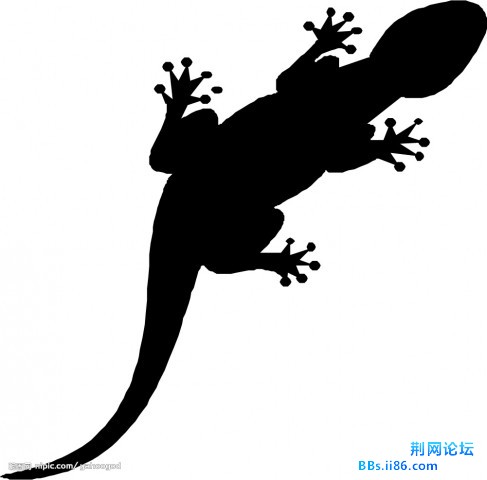 20083716035536_2.jpg