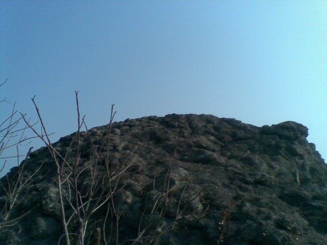 20110206(017).jpg