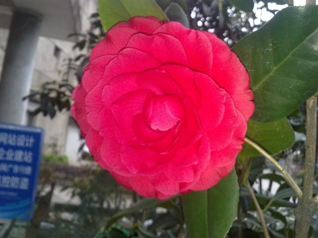 20110311893.jpg