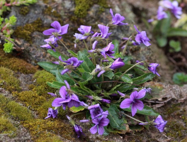 10BI0E8269.JPG