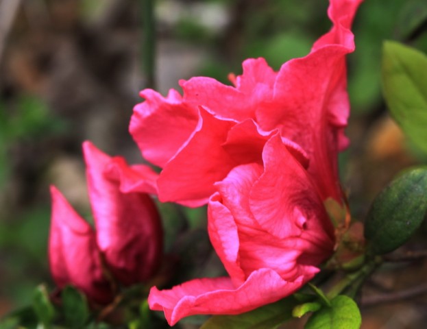 BI0E9039.JPG