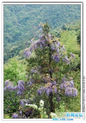 太湖山20.jpg
