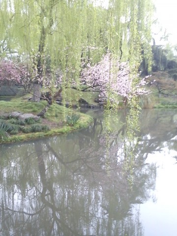 DSC00108.JPG