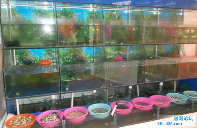 海鲜.jpg