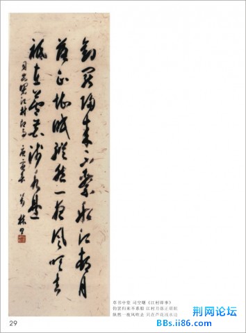 P29.jpg