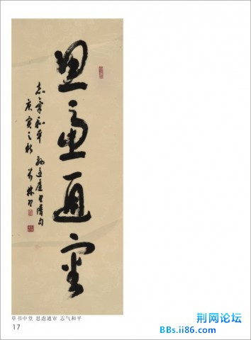 P17.jpg