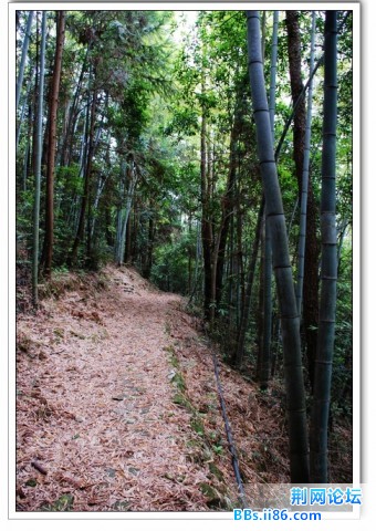 筋竹涧07.jpg