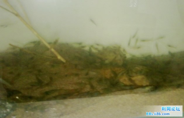 QQ截图20110601125644.jpg