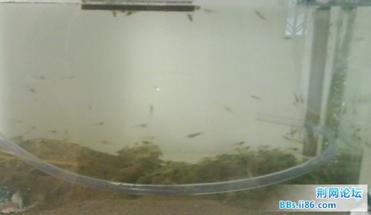 QQ截图20110601125657.jpg