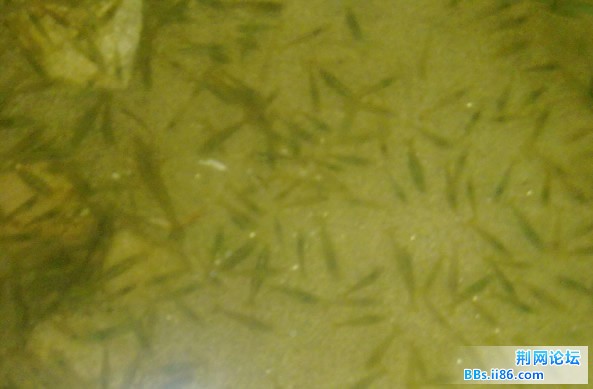 QQ截图20110601125705.jpg
