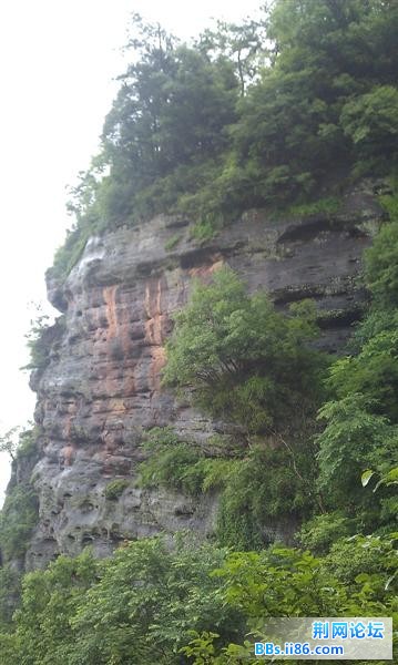 IMAG0389 (中等).jpg