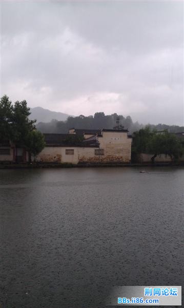 IMAG0357 (中等).jpg