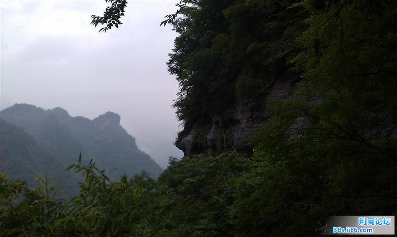 IMAG0377 (中等).jpg