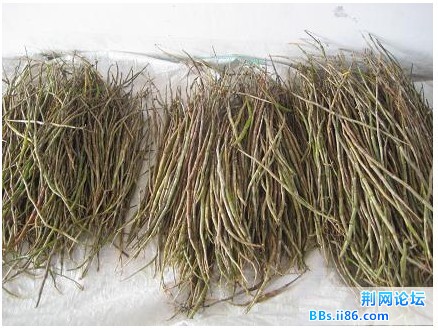 吊篮.jpg