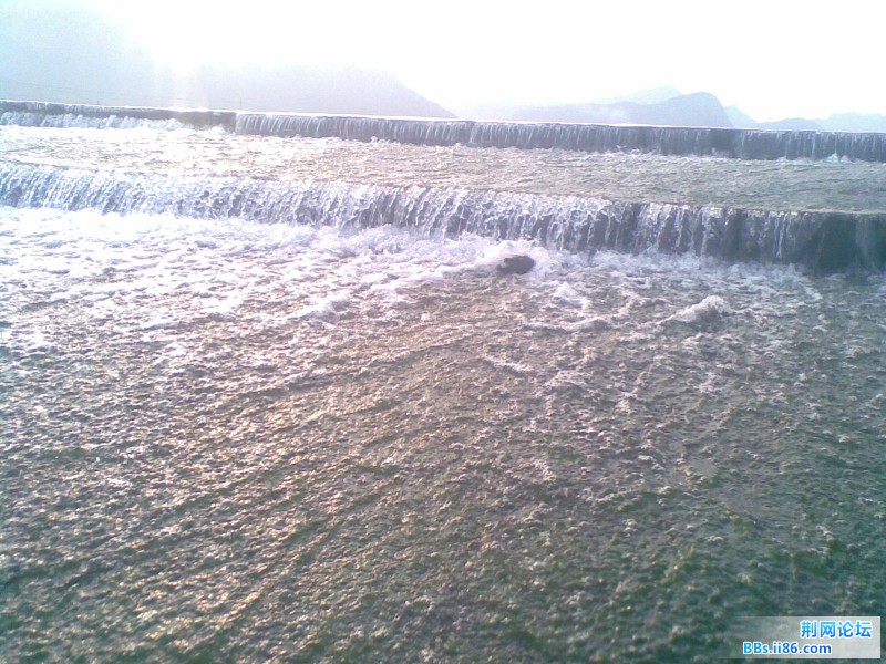 20110731(040).jpg
