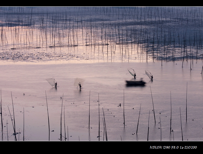 DSC_0767.jpg
