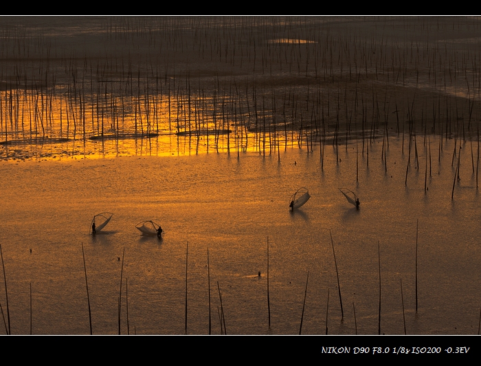 DSC_0785.jpg