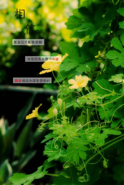 DSC_1271_副本.jpg