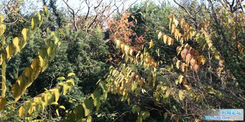 DPP_0011.JPG