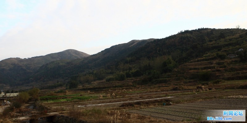 DPP_0047.JPG