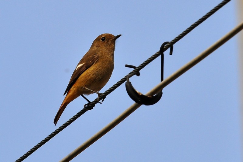 DSC_6119.jpg