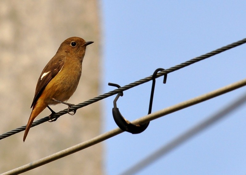 DSC_6115.jpg