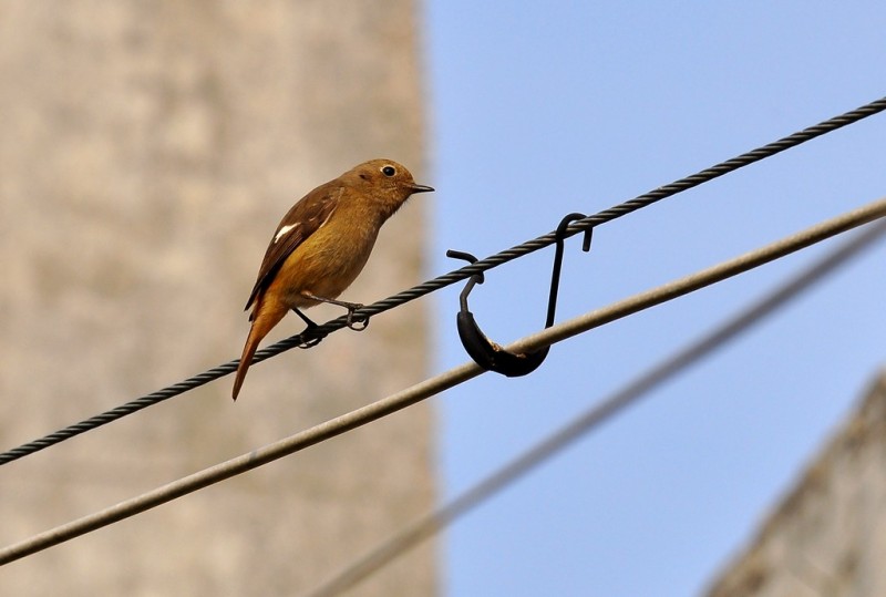 DSC_6116.jpg