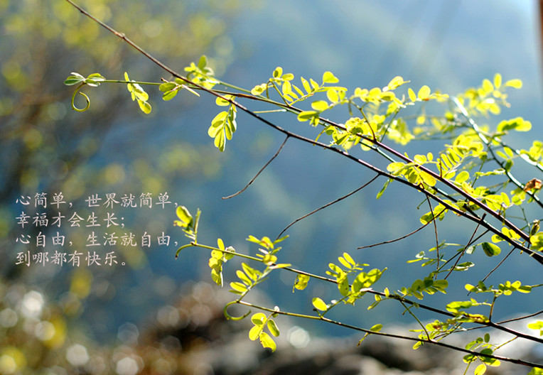 DSC_5449_副本.jpg