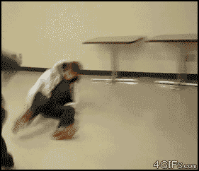3.gif