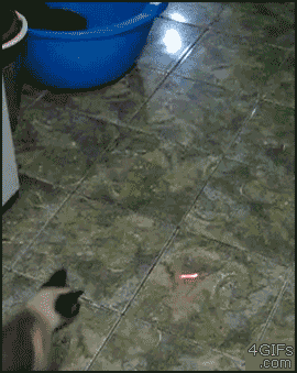 4.gif