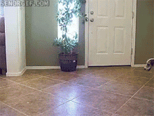 7.gif