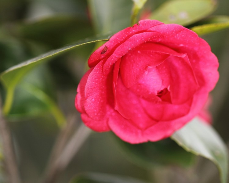 BI0E9053.JPG