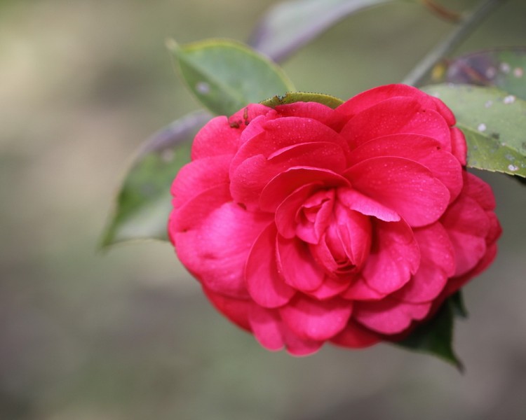 BI0E9055.JPG