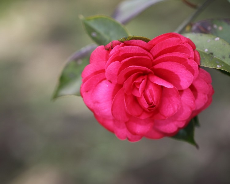 BI0E9056.JPG