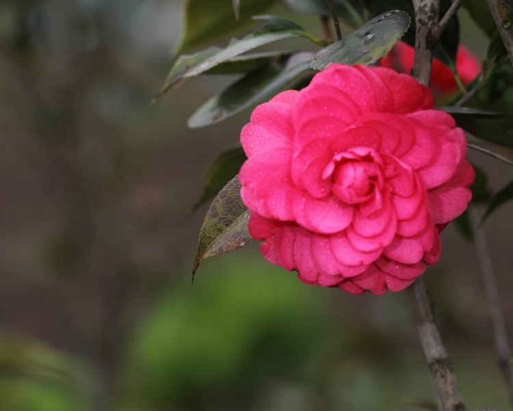 BI0E9060.JPG