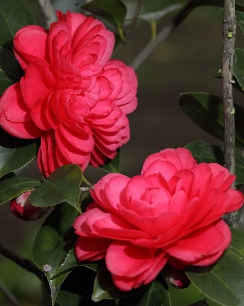 BI0E9063.JPG