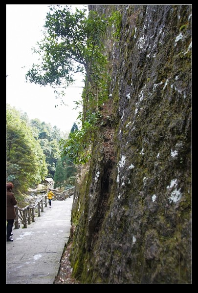 2012春节 18_nEO_IMG.jpg
