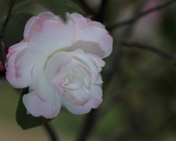 BI0E9217.JPG