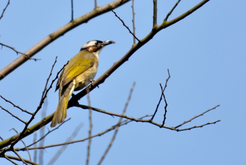 DSC_8400.jpg