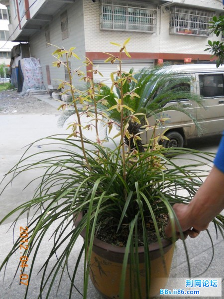 DSCN1524.JPG