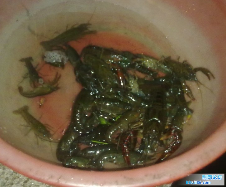 20120411121709.jpg