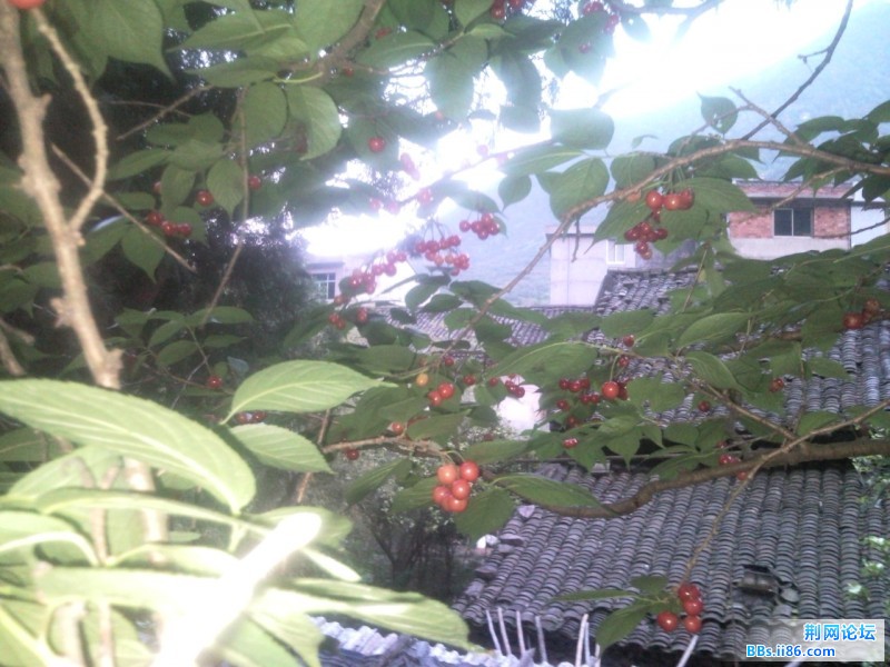 P120426_182442.jpg