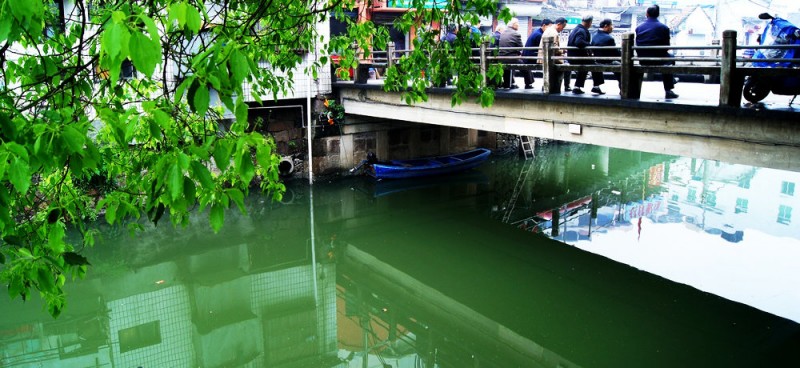 DSC01887_cr.jpg