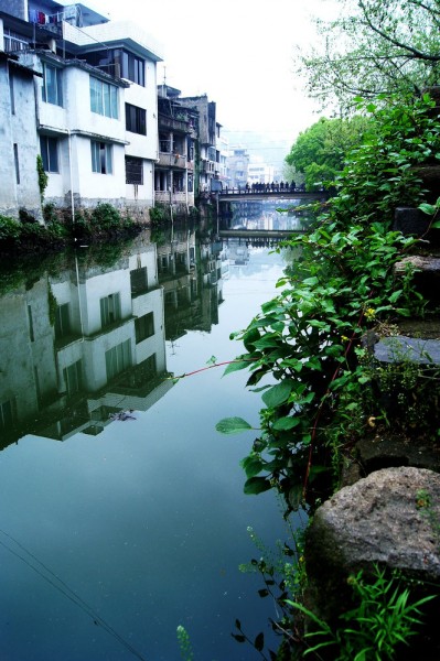 DSC01902.JPG