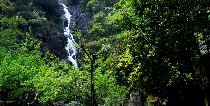 DSC01951_cr.jpg