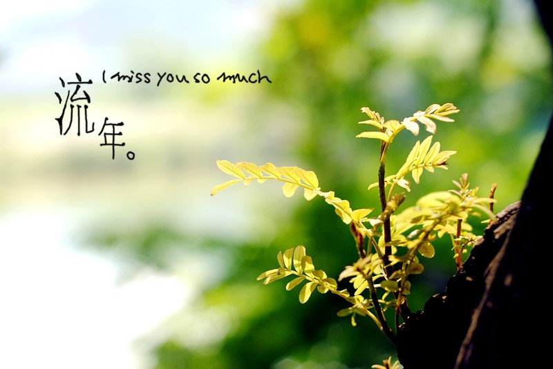 DSC_7928_副本.jpg