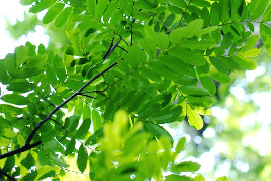 DSC_8089_副本.jpg